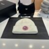 CG Arctic Disc Toque White - Hat