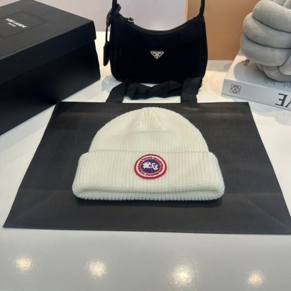 CG Arctic Disc Toque White - Hat