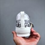 CD B23 Low Top Oblique – Sneakers