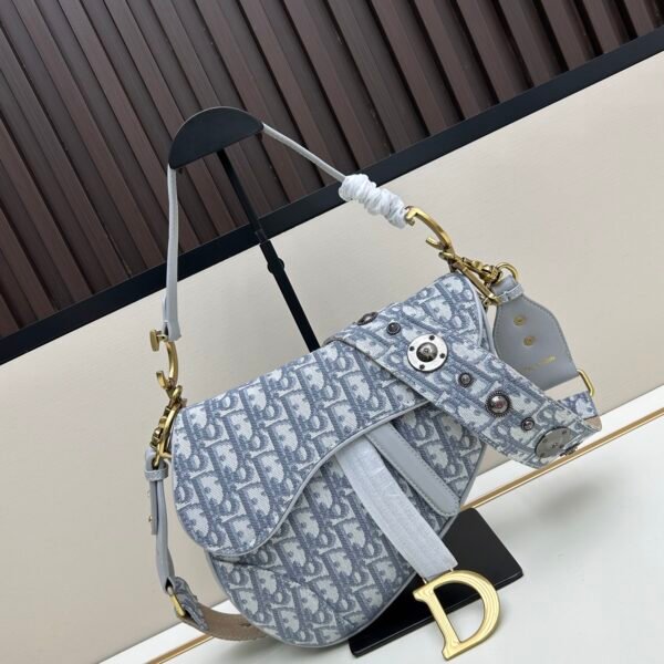 CD Saddle Large Oblique Canvas - Bag