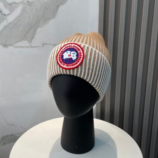 CG Arctic Disc Toque - Hat