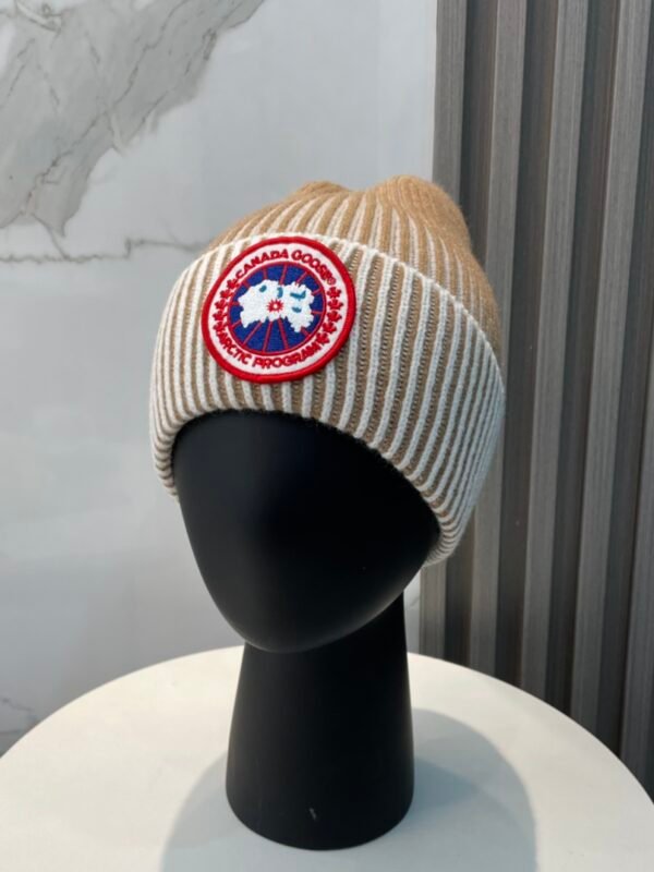 CG Arctic Disc Toque – Cappello