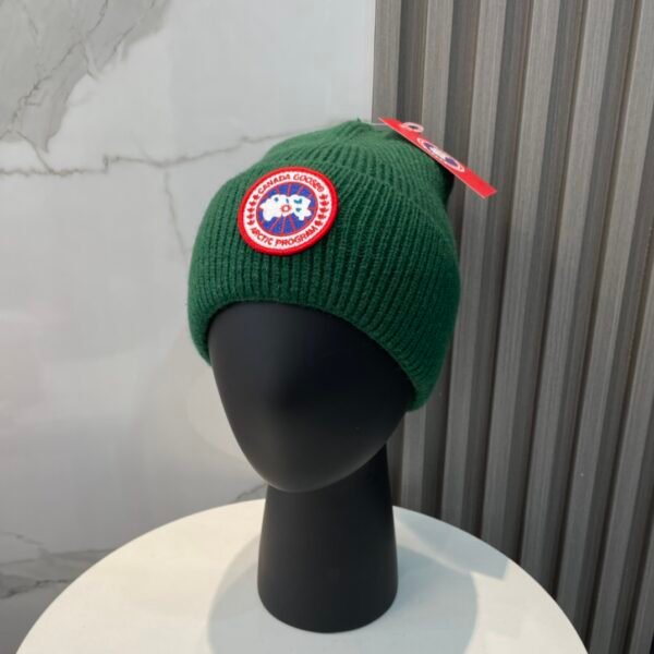 CG Arctic Disc Toque Green Wool - Hat