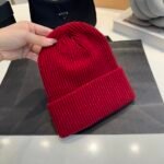 TNF Logo Beanie Red Wool – Hat