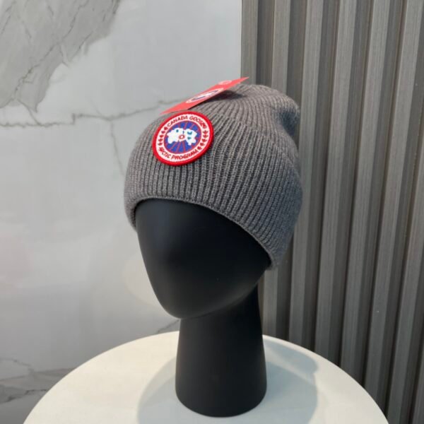 CG Arctic Disc Toque Grey Wool - Hat