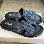 CD Dway Slide Blue Oblique Canvas – Slide