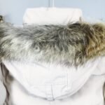 CG Wyndham Parka – Jacket – Red