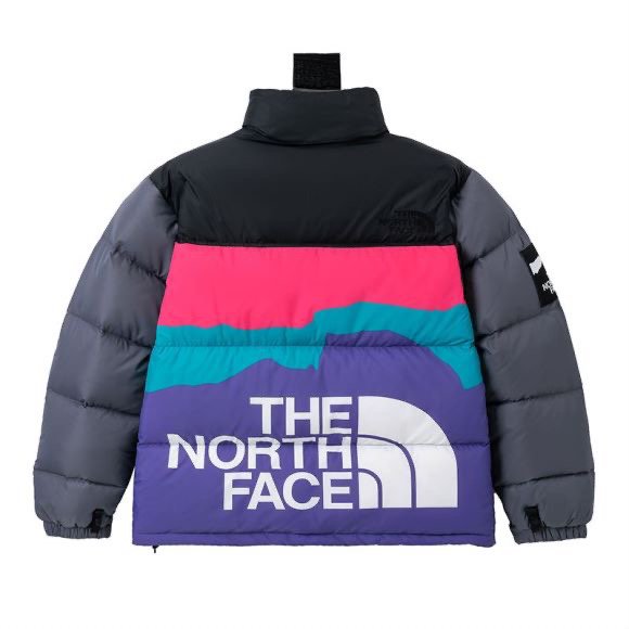 TNF 1996 Retro Nuptse Jacket - Jacket