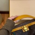 LV Dauphine Monogram – Bag