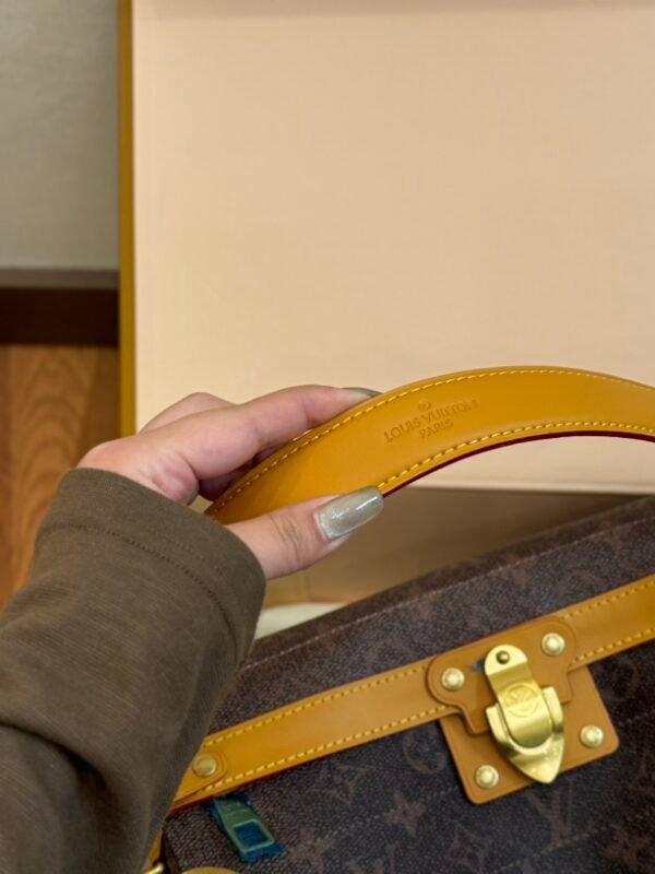 LV Dauphine Monogram – Tasche