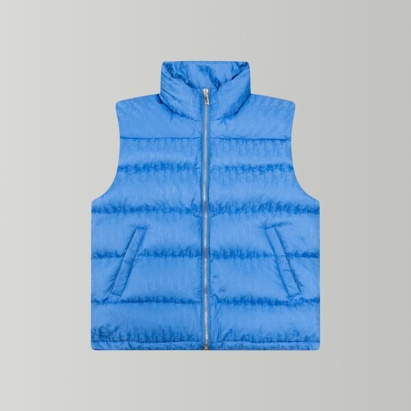 CD Oblique Down Vest - Vest