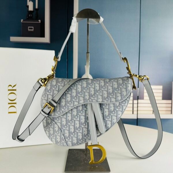 CD Saddle Large Oblique Canvas - Bag