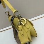 CD Saddle – Bag