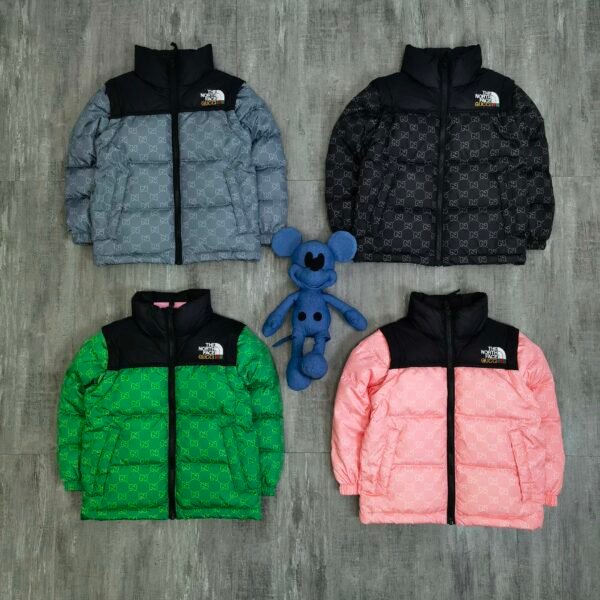 TNF Nuptse - Jacket