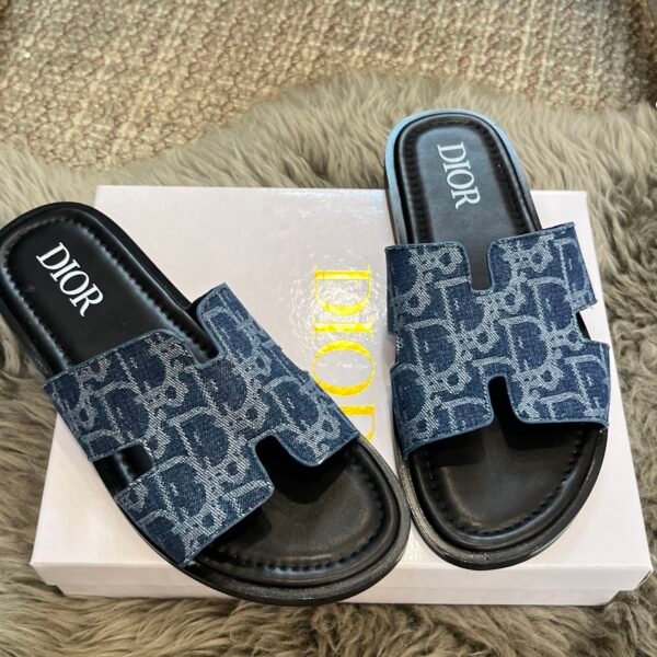 CD Dway Slide Blue Oblique Canvas - Slides