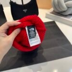 TNF Logo Beanie Red Wool – Hat