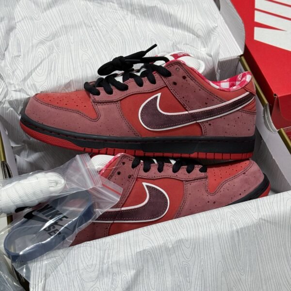NK Dunk Low Concepts Lobster Red - Sneakers