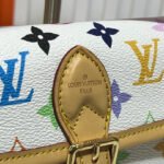 LV Pochette Accessoires Multicolore – Bag