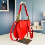 CD Saddle – Borsa