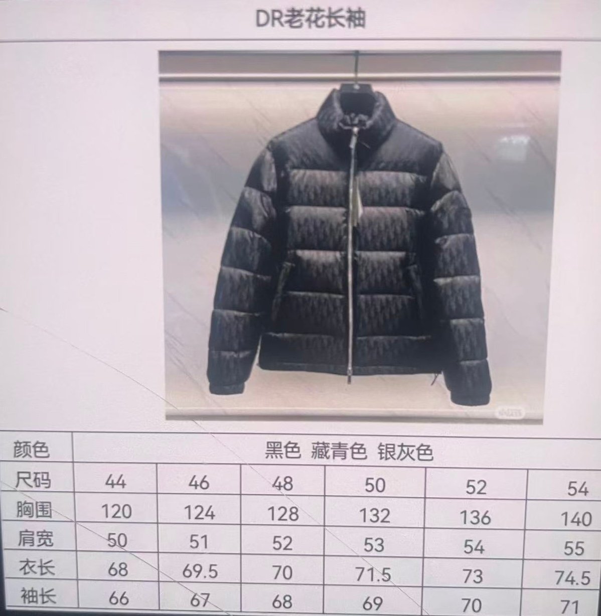 CD CD Oblique Down Jacket Jacquard - Jacket - Image 9