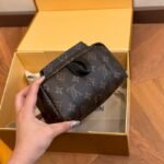 LV Palm Springs Mini Monogram – Borsa