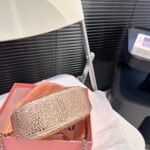 MIU Wander Crystal – Bag