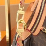 LV Loop Hobo Monogram – Bag