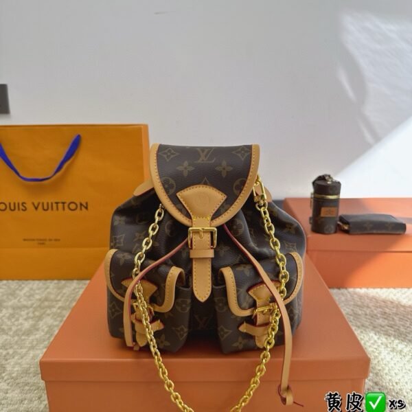 LV Montsouris PM Monogram - Bag