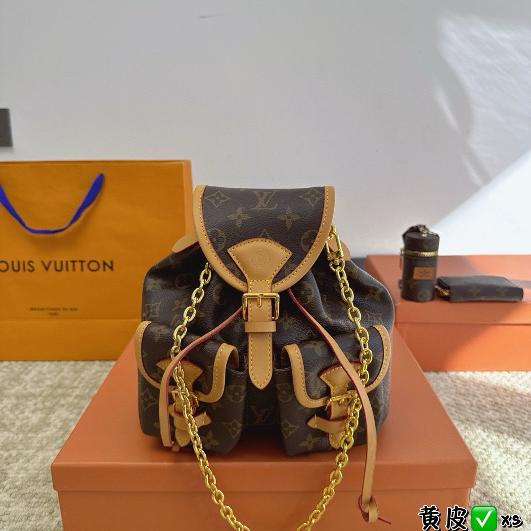LV Montsouris PM Monogram - Bag