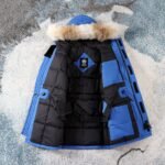 CG Expedition Parka – Jacket – Blue