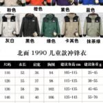 TNF Mountain Light Jacket – Veste – Orange