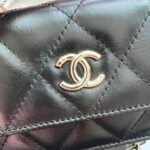 CC Wallet on Chain (WOC) Black Leather – Bag