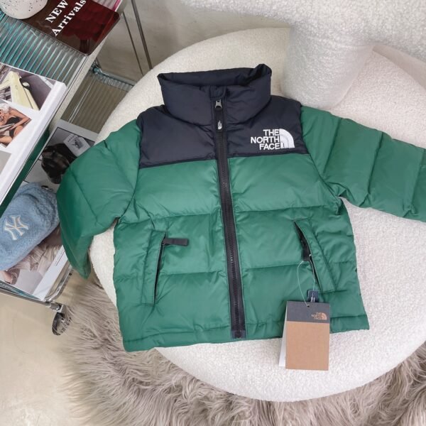 TNF 1996 Retro Nuptse Jacket - Jacket