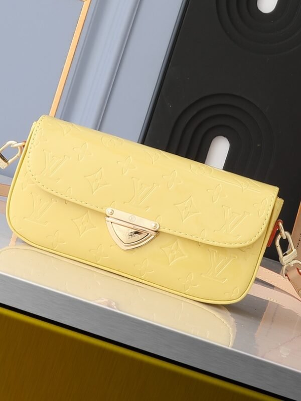 LV Pochette Felicie – Bag