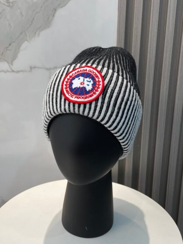 CG Arctic Disc Toque – Cappello