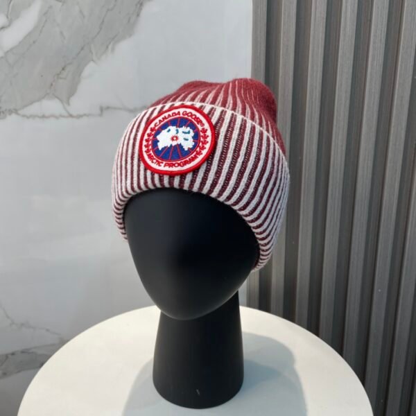 CG Arctic Disc Ribbed Beanie - Hat