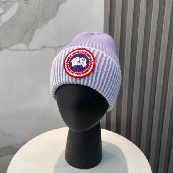 CG Arctic Disc Toque - Hat