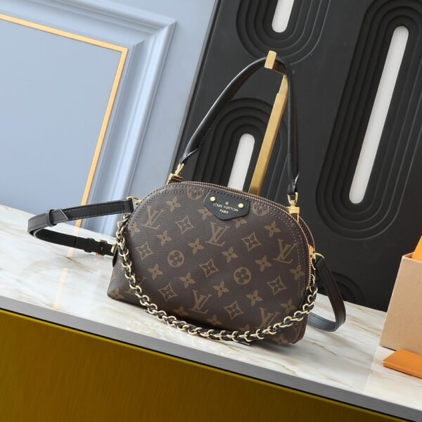 LV Loop - Bag