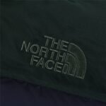 TNF 1996 Retro Nuptse Jacket – Jacket – Blue